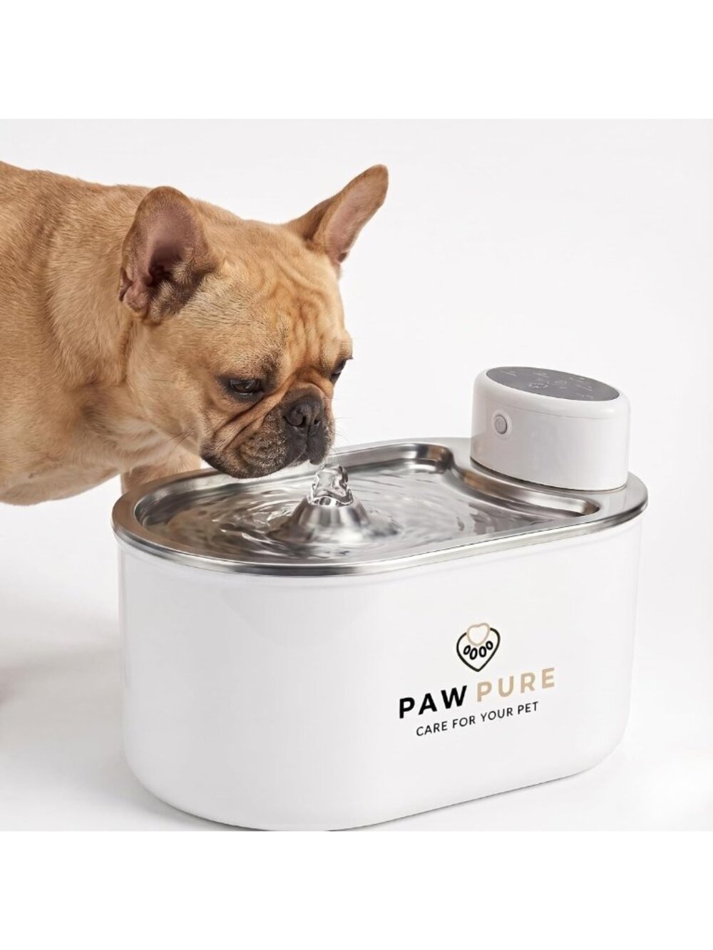 Automatic Stainless Steel Pet Water Fountain - Cordless, Ultra-Quiet, 3L